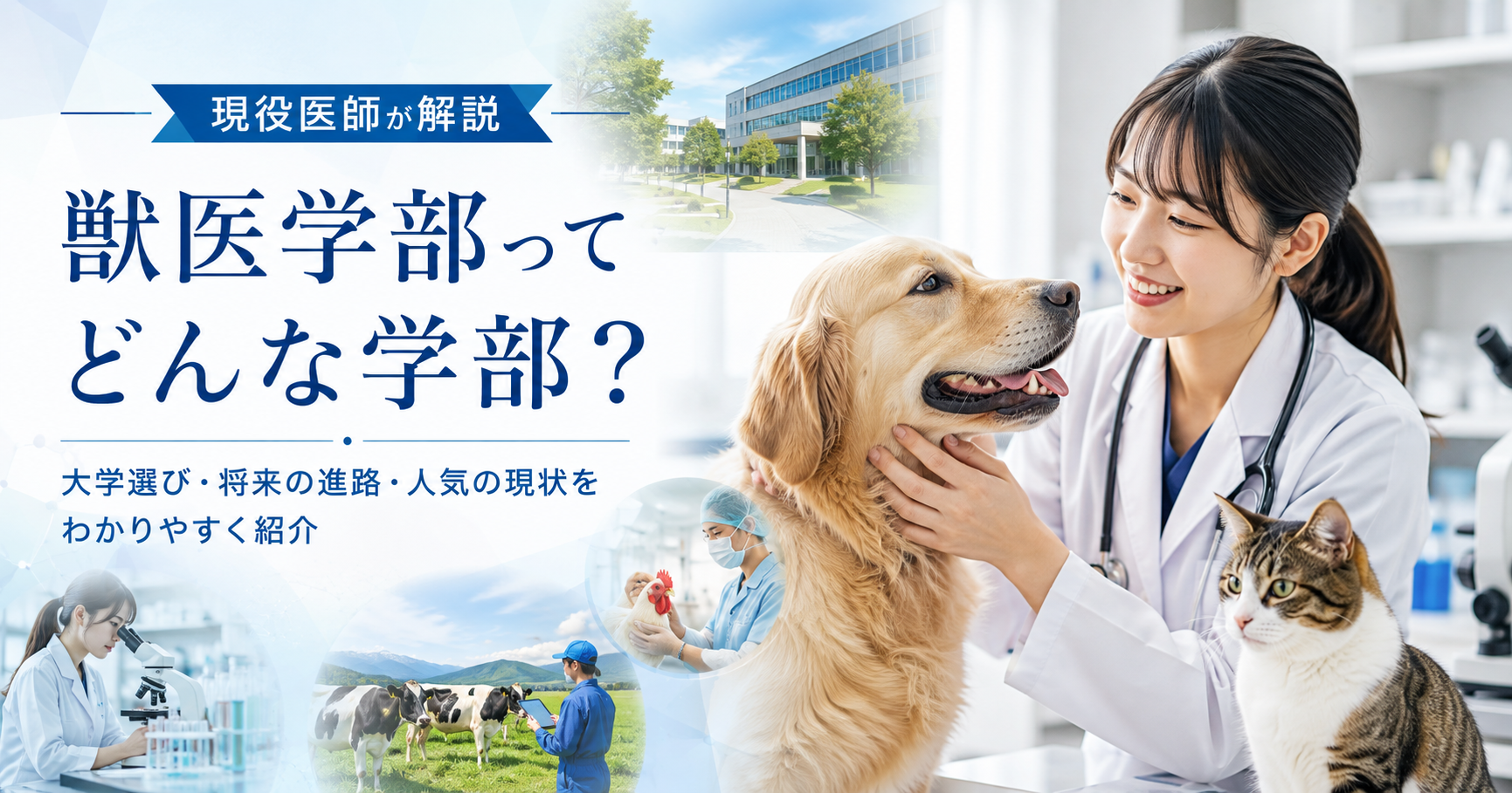 〖現役医師が解説〗獣医学部ってどんな学部?~大学選び・将来の進路・人気の現状について~